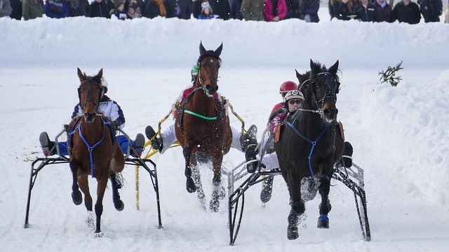 将比分改写 将比分改写