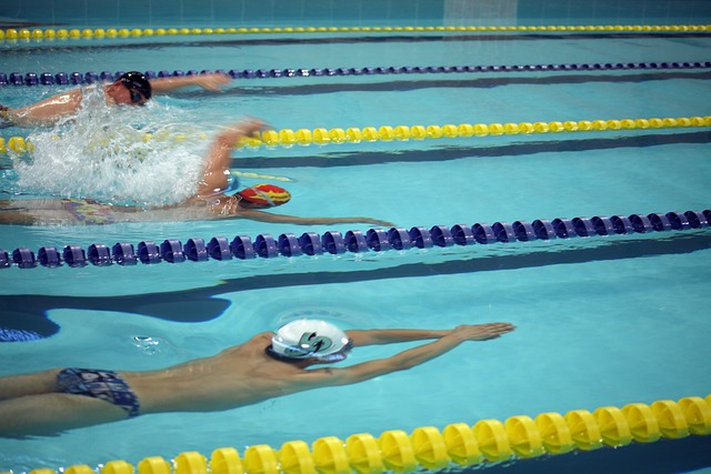 代表匈牙利 代表匈牙利