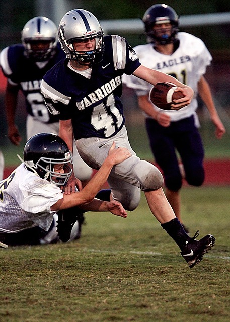 洲的霸主 洲的霸主