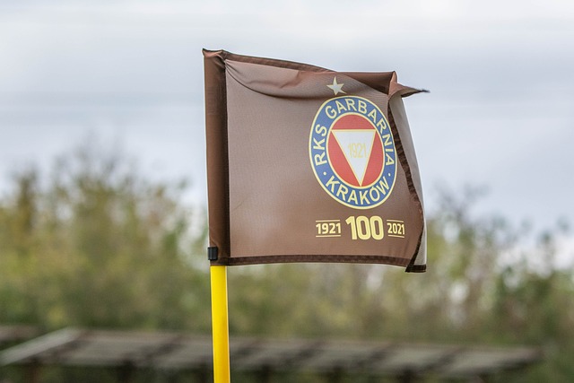 多数球迷质 多数球迷质