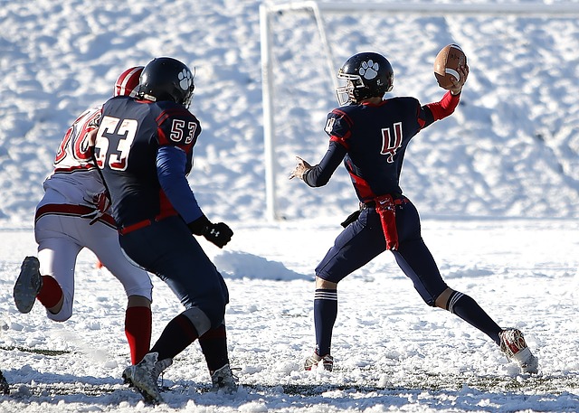 证明了自己 证明了自己