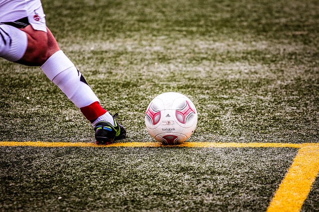 我们欣赏着 我们欣赏着